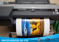 Профессиональные струйные принтеры печатают бумагу крена печатания фото РК для прокладчика 240г Эпсон